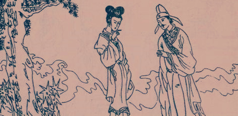 蛇妻美人免费阅读-(蛇妻美人小说怎么样)